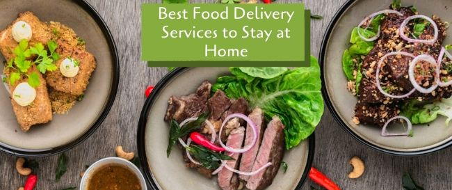 Best Food Delivery Services to Stay at Home