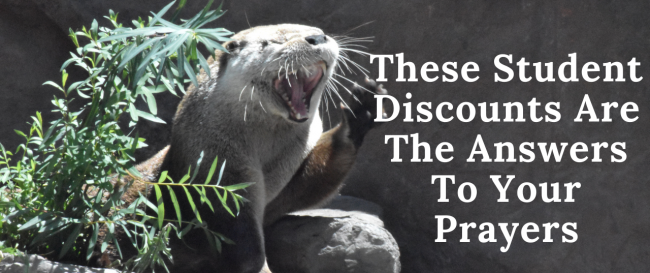 These Student Discounts Are The Answers To Your Prayers