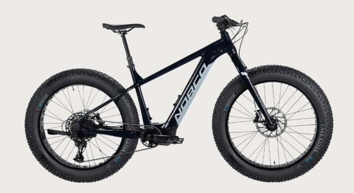 Top Electric Bikes to Buy in 2023