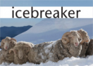 Icebreaker Canada logo