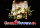 Canada Flowers logo