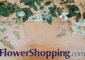 Flowershopping.com