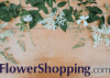 FlowerShopping.com