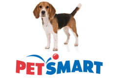 PetSmart Canada coupon codes